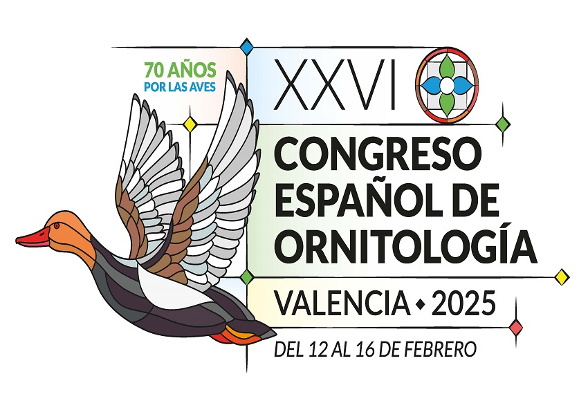 Imagen representativa de la novedad